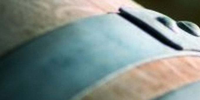 Borvacsora az Agárdi Pálinkafőzdével