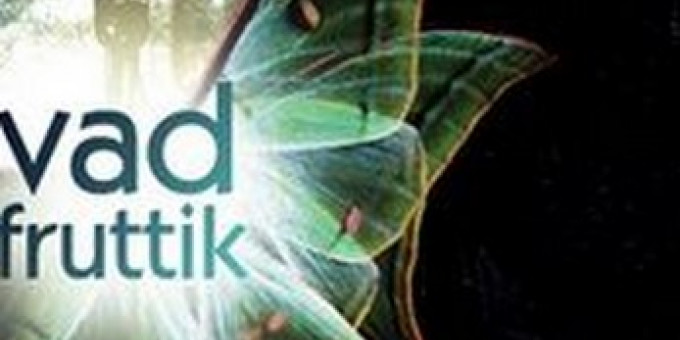 Jegyek még kaphatók! - Vad Fruttik lemezbemutató koncert, Kipu, Enikő & Murak