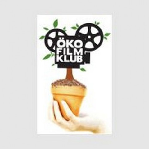Kiallitoter Okopolitikai Filmklub Ki Olte Meg Az Elektromos Autot A38 Hajo