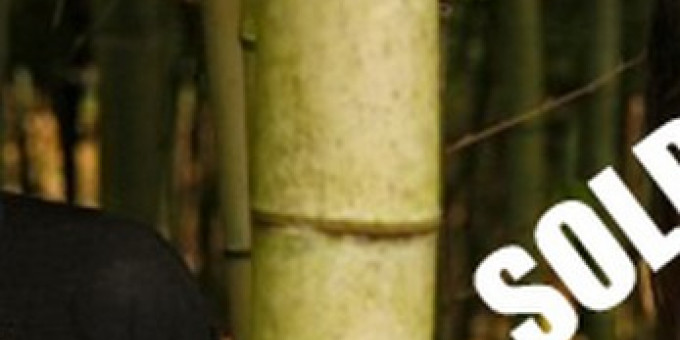 Teltház! She Keeps Bees (USA)