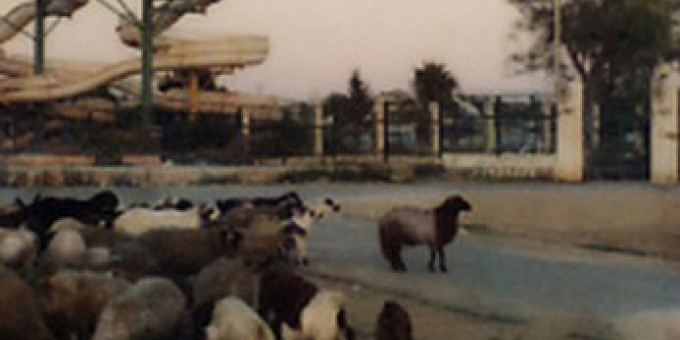 Les Frankolorés kiállítás