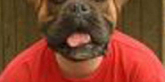 Dj Garfield & Orditronic