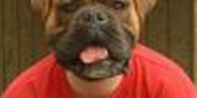 DJ Garfield & Orditronic