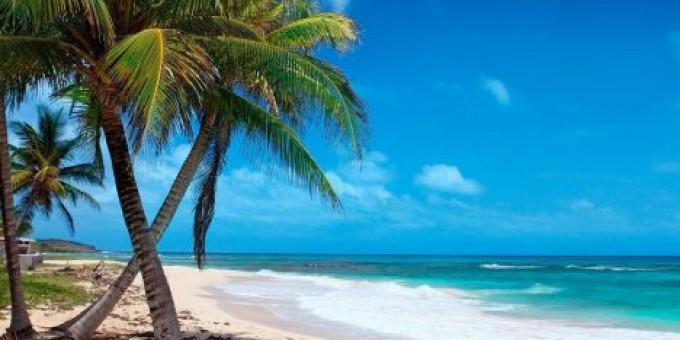 Fine Selection - Monoclick, Electric Boutique, Special guest: Peter Bernath