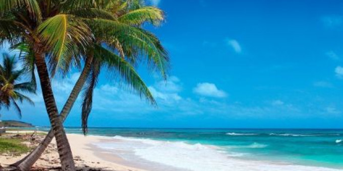 Fine Selection - Monoclick, Electric Boutique, Special guests: Robert Dobak & Staffonly