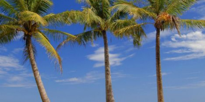 Fine Selection - Monoclick, Electric Boutique, Special guests: Nu_Clear & Vilmos Vagyoczki