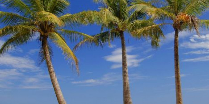 Fine Selection#18 - Monoclick & Electric Boutique, special guests: Jozsa & Rosco