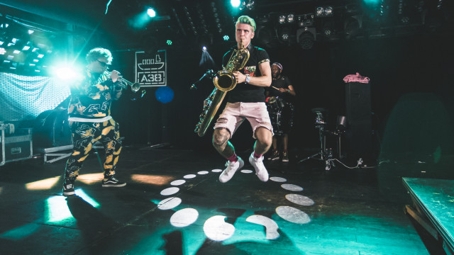 Too Many Zooz