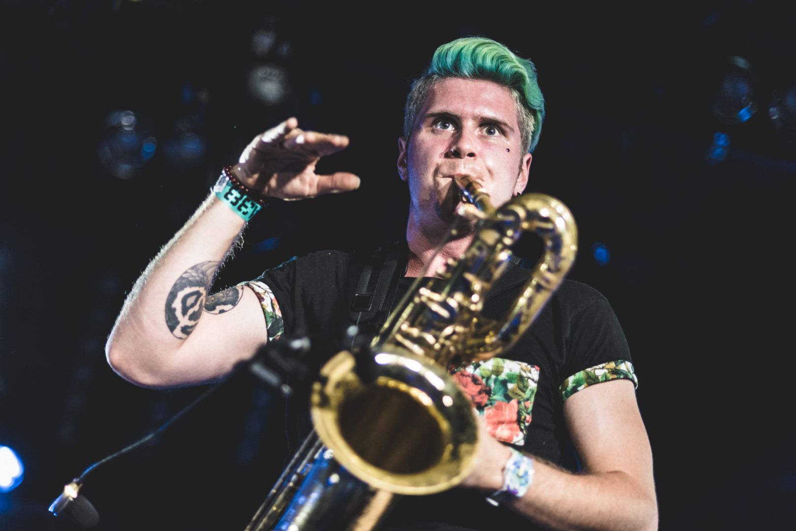 Too Many Zooz A38 Ship