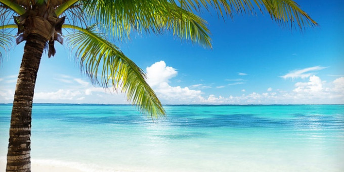 Fine Selection - SLTN & Drez, Electric Boutique