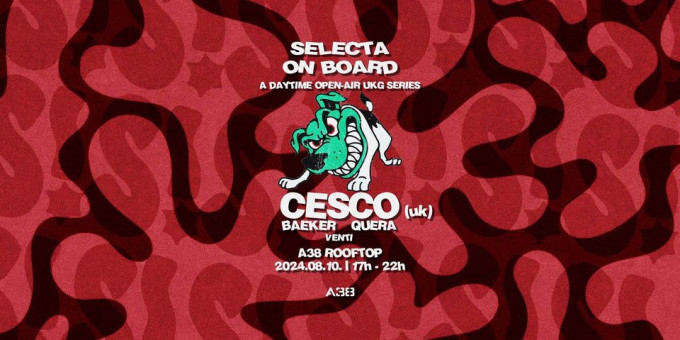 Selecta Openair - Cesco (UK)