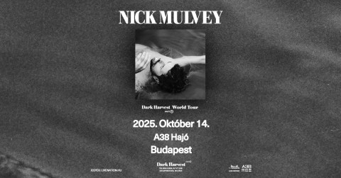 Nick Mulvey (UK)