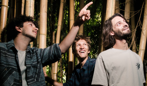 Shakar Trio, Roundabout (A)