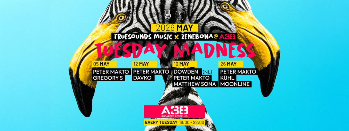 Tuesday Madness • Work Off Party - A38 Ship