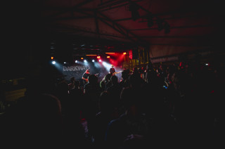 Darkways (ES), vendég: denevér